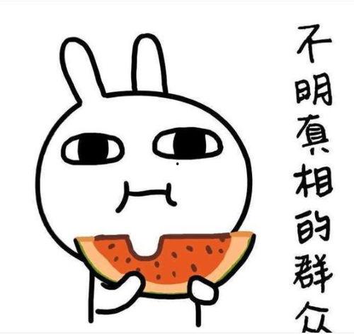 带你吃瓜学习篇,轻松掌握知识，趣味学习新体验