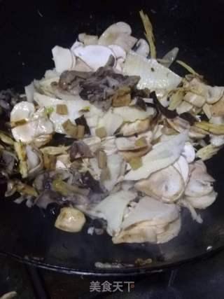 在线吃瓜菌,揭秘网络舆论场的“瓜农”生活