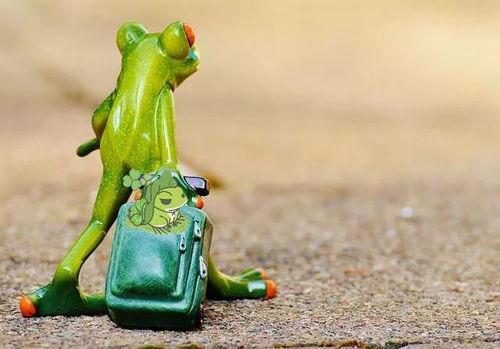 卖仔蛙吃瓜,卖仔蛙的瓜田奇遇记