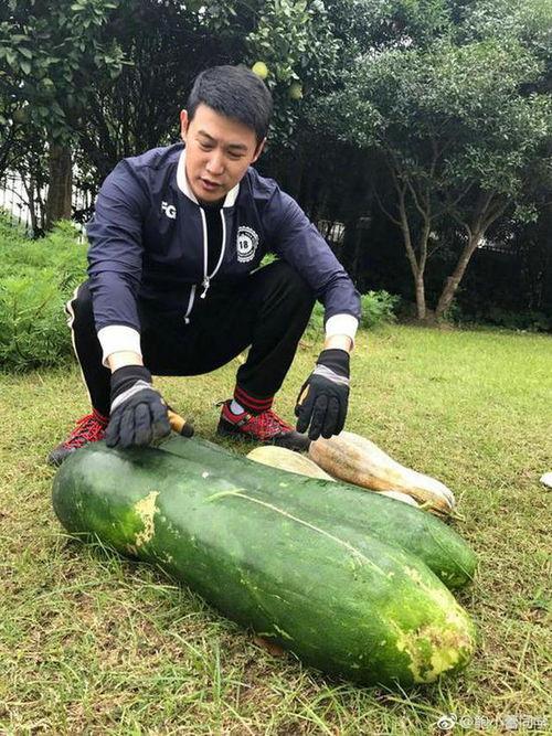 路鸣吃瓜照片,揭秘娱乐圈幕后趣闻