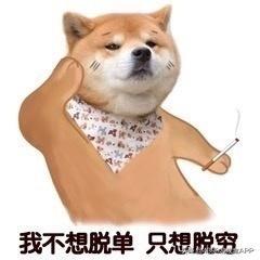 单身狗吃瓜的文案,揭秘娱乐圈那些不为人知的秘密