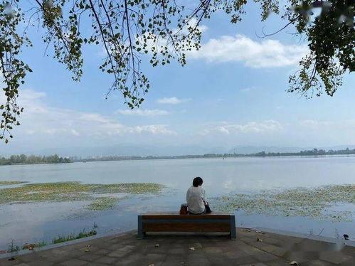 西昌月亮湖吃瓜,夏日吃瓜盛宴尽享清凉时光