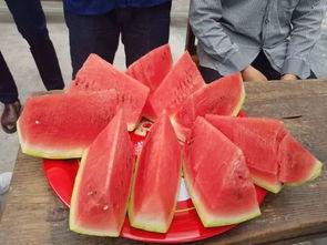 坝瓜怎么吃,探索美味与营养的完美融合