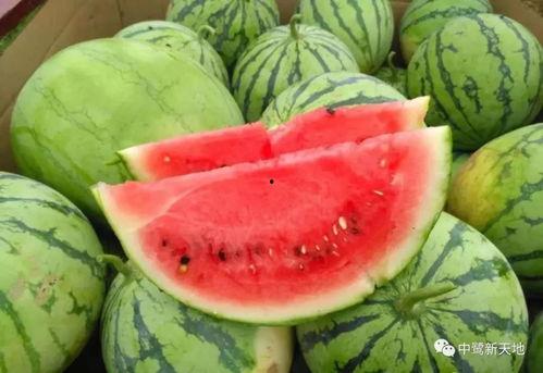 今天吃瓜排名,热门事件盘点，揭秘娱乐圈风云变幻