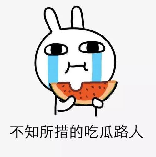 兢兢业业吃瓜人