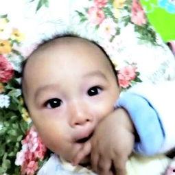 吃熙瓜熙瓜,一场味蕾与文化的邂逅之旅