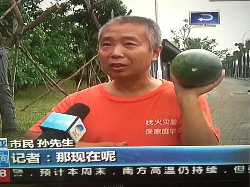 1中吃瓜事件,揭秘网络舆论的狂欢与反思