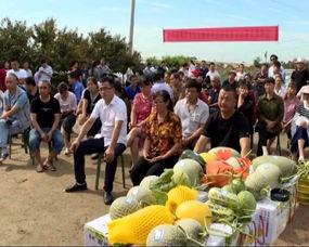 即墨总部吃瓜群众,吃瓜群众热议焦点