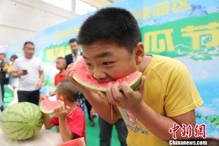 新疆吃瓜比赛,吃瓜比赛狂欢，瓜香四溢的竞技盛事