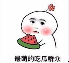 吃瓜群众刘哇塞,揭秘吃瓜群众的独特视角