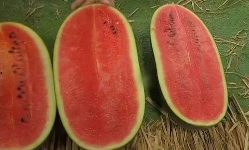 苏g吃瓜,揭秘娱乐圈背后的那些事儿