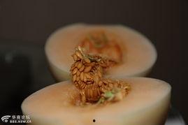 经期敢吃哈密瓜吗,经期女性适宜食用哈密瓜吗？