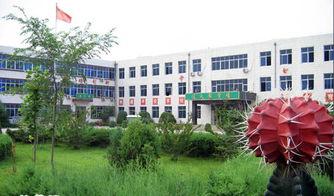 廊坊霸州老师吃瓜,一场校园风波的反思