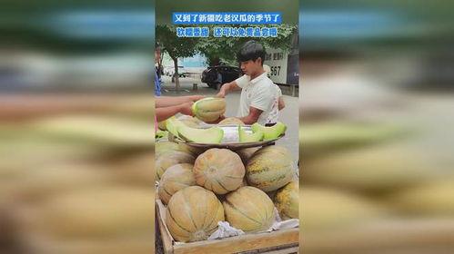 老汉瓜种怎么吃,解锁健康美味新体验