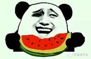 可惜鹅没有心 吃瓜,揭秘鹅的“无情”真相