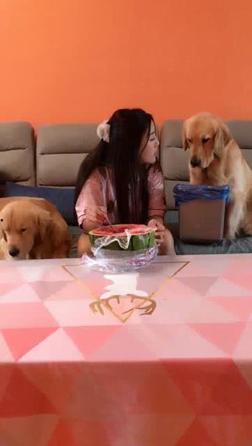 狗女吃瓜