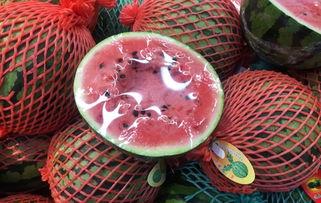 月下吃瓜图片,一场别开生面的夜市美食之旅