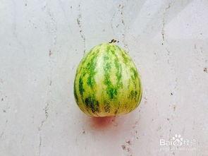 瓜怎么吃最方便