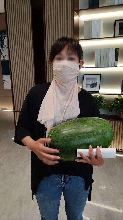 今日吃瓜必看大瓜图片,揭秘吃瓜必看大瓜图片背后的惊人真相