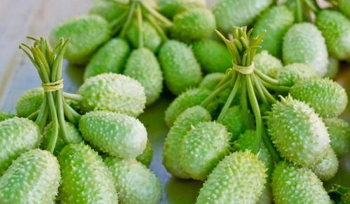 吃瓜台湾,揭秘岛内热点事件背后的真相与笑料