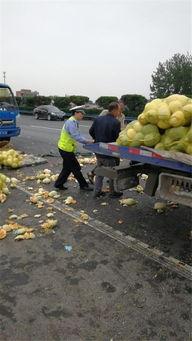 吃瓜群众的车,揭秘汽车界的“明星”风采