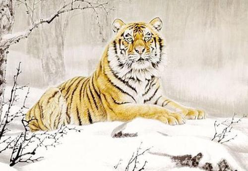 虎头局吃瓜,揭秘网红美食背后的故事