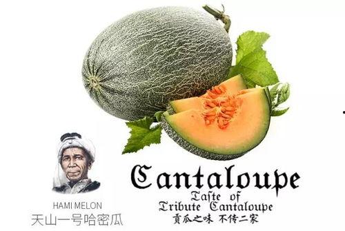 吃瓜群众免费分享,吃瓜群众免费分享，带你领略明星幕后故事