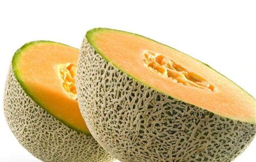 凉棚底下吃凉瓜好吗,凉瓜美食共享时光