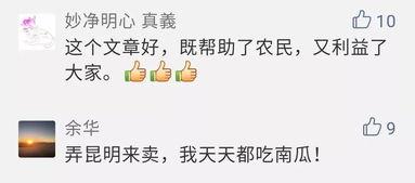 昆明吃瓜群众视频,揭秘视频背后的热点事件