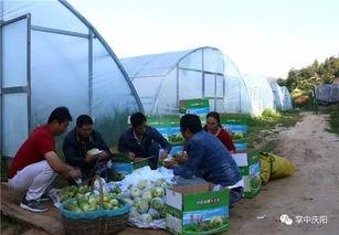 渝兴广场吃瓜群众