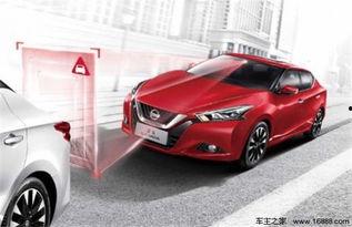 蓝鸟怎样吃瓜,揭秘蓝鸟的吃瓜日常