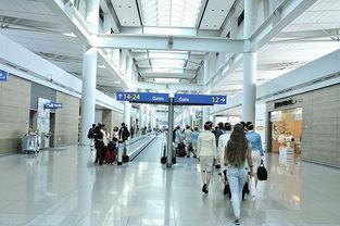 西安咸宁机场吃瓜,吃瓜群众的美食之旅