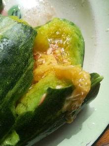 什么瓜可以直接吃的,揭秘可直接食用的神奇瓜果