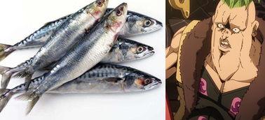 咸鱼之王理性吃瓜,理性吃瓜，揭秘网络热点背后的真相