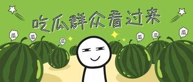 瓜瓜吃瓜情节解析,揭秘娱乐圈的甜蜜与苦涩