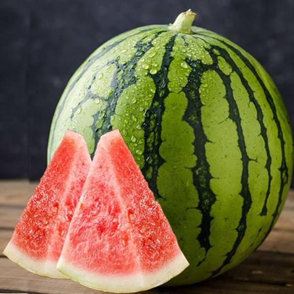 过年吃瓜专辑图片,盘点过年吃瓜专辑精彩瞬间