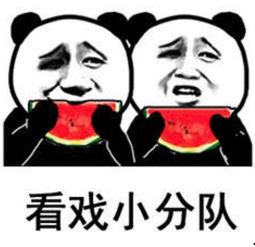 搞笑吃瓜表情包,笑料横生！搞笑吃瓜表情包大盘点