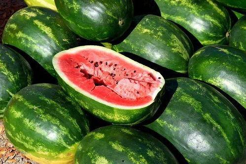 吃瓜情侣照片高清,吃瓜情侣高清美照曝光