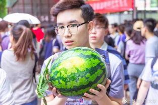 国内吃瓜新闻,一场场吃瓜盛宴背后的真相与内幕