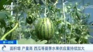 怀仁吃瓜群众,揭秘当地热点事件背后的故事
