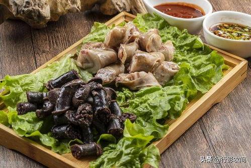 刘大瓜吃狗肉,引发社会热议的伦理争议