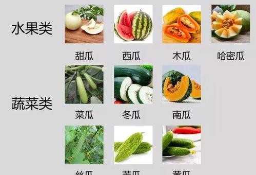 谈客户吃瓜,吃瓜也能成为谈判利器？揭秘瓜界谈判技巧